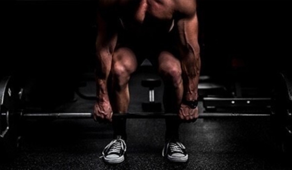 How Anabolic Steroids Impair Fertility